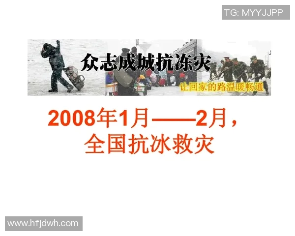 滑板之路：见证杭州滑板队勇攀高峰的真实故事与成长历程MBA